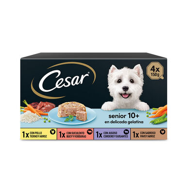 Cesar Senior Latas para perros - Multipack